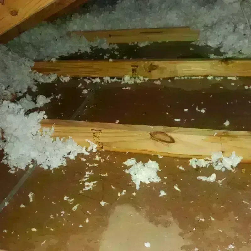 Attic Water Damage in West Hollywood, CA