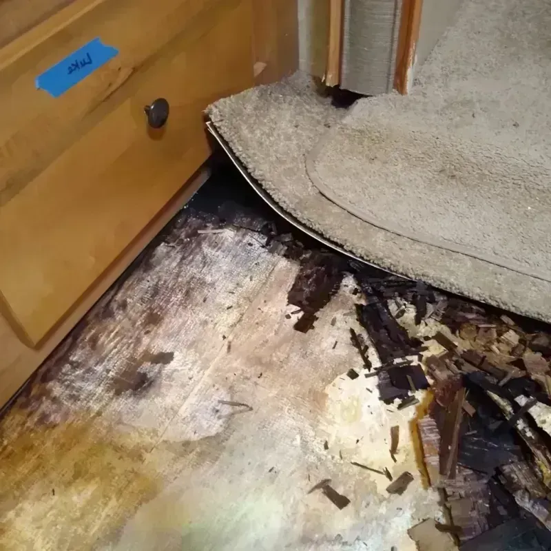 Best Wood Floor Water Damage Service in West Hollywood, CA